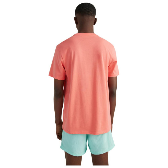 O'neill Ανδρική κοντομάνικη μπλούζα Cali Original T-Shirt